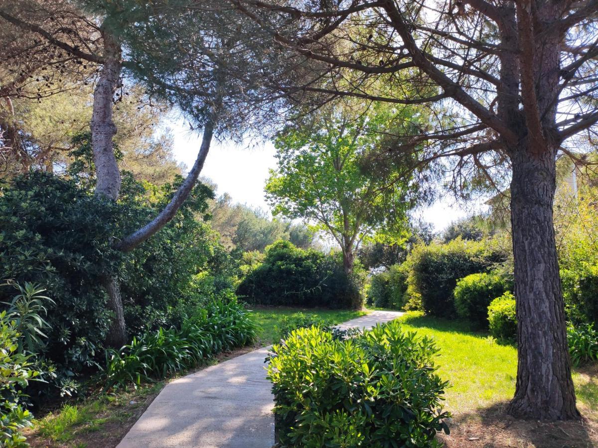 Domaine De La Coudouliere, Vue Mer, Plage, Piscine Et Parc Six-Fours-les-Plages Exterior foto